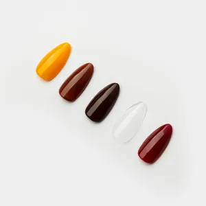 Tortoiseshell Polish Pack